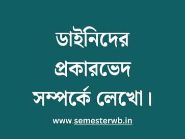 ডাইনিদের প্রকারভেদ সম্পর্কে লেখো