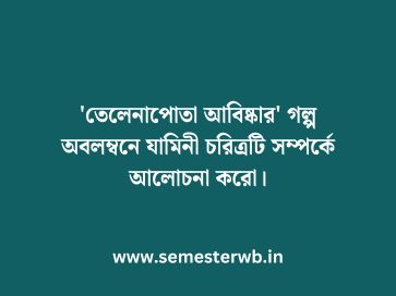 'তেলেনাপোতা আবিষ্কার' গল্প অবলম্বনে যামিনী চরিত্রটি সম্পর্কে আলোচনা করো