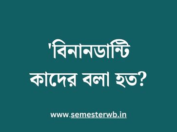 'বিনানডান্টি কাদের বলা হত
