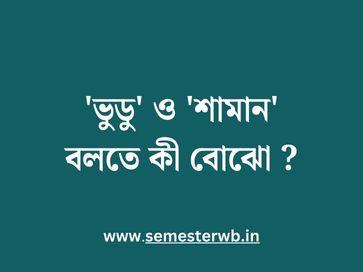 'ভুডু' ও 'শামান' বলতে কী বোঝো 